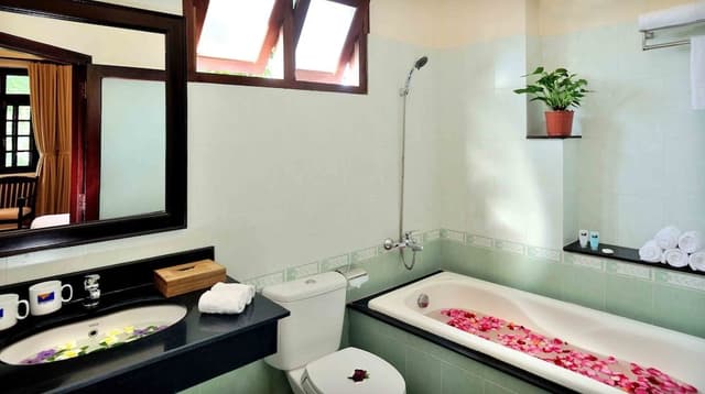 Deluxe Room, Pool View
