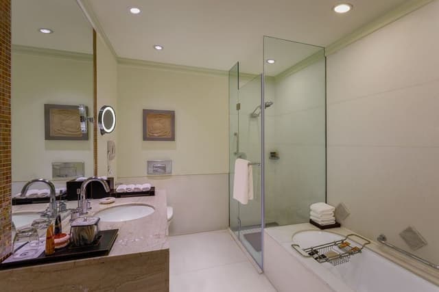 DAY USE ROOM,8 AM- 8 PM, Lunch, Same day checkin- checkout