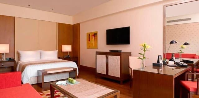 Luxury Room