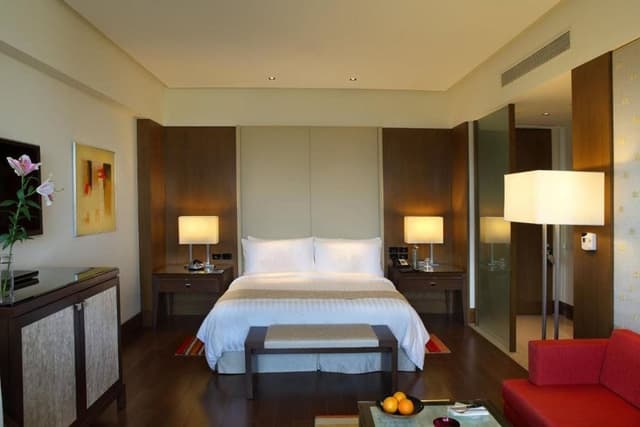 Luxury Room