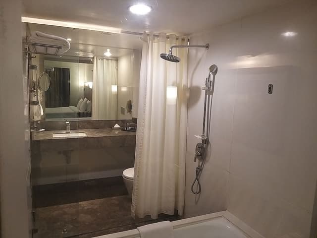 Premier Room