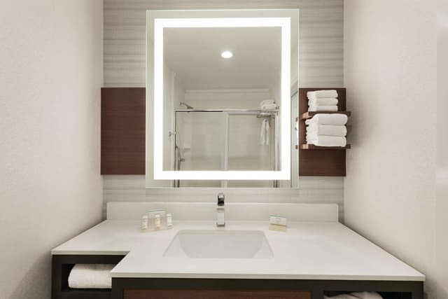1 KING MOBILITY/HEARING ACCESSIBLE W/ BATHTUB