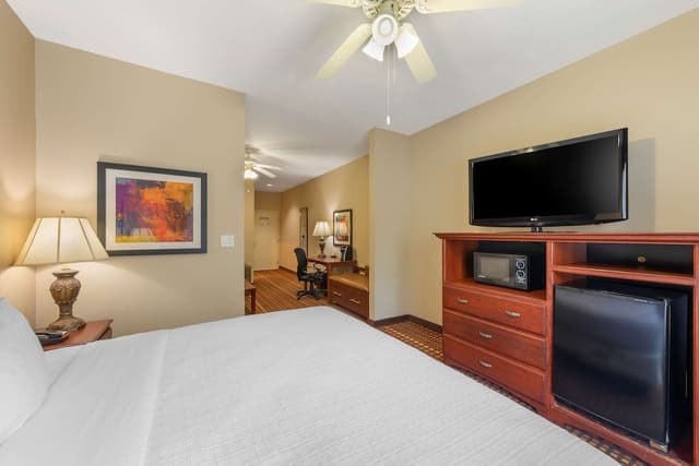 Suite, 1 King Bed, Non Smoking, Refrigerator & Microwave (with Sofabed)