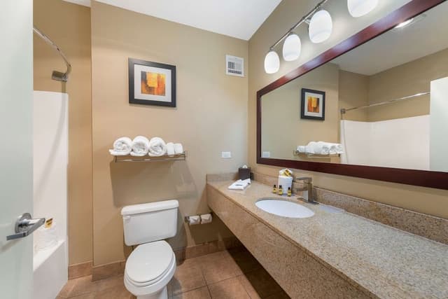 Suite, 1 King Bed, Non Smoking, Refrigerator & Microwave (with Sofabed)