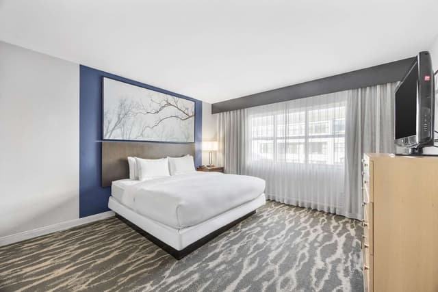 1 KING BED 2 ROOM DELUXE SUITE-SOFABED-NOSMOK