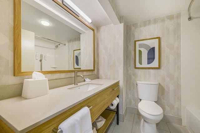 Room, 1 King Bed