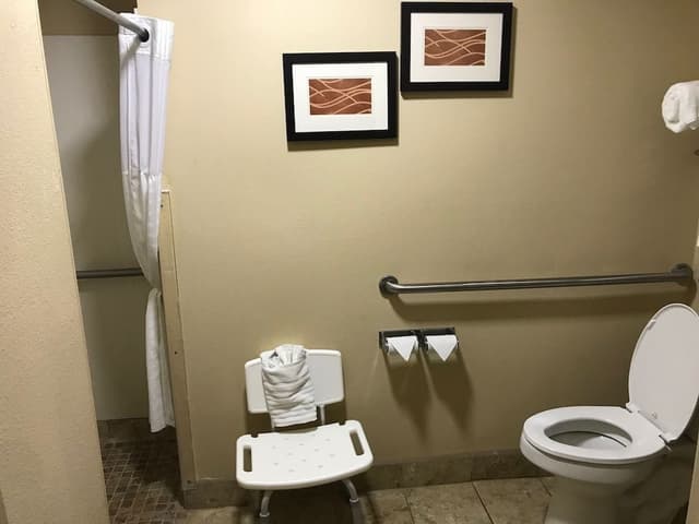 Room, 1 King Bed, Accessible, Non Smoking