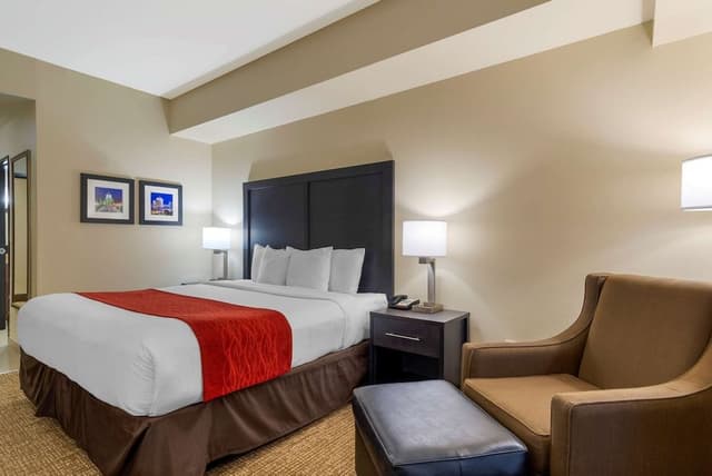 Standard Room, 1 King Bed, Non Smoking