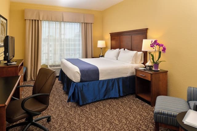 Suite, 1 King Bed (Additional Living Area)