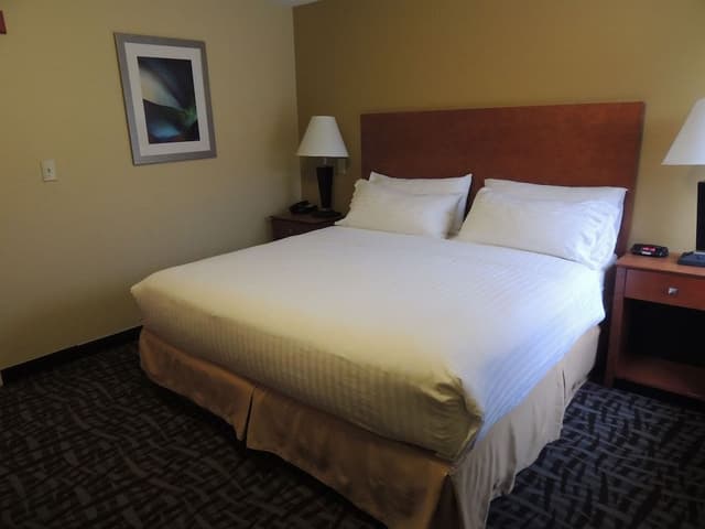 Suite, 1 Bedroom