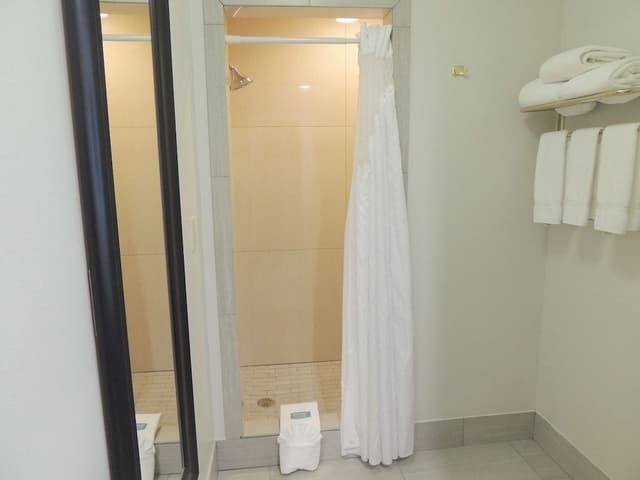 Suite, 1 Bedroom (Atrium View)