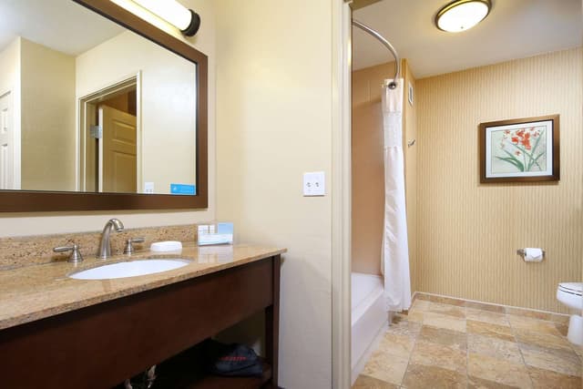 1 KING BED 1BDRM SUITE NONSMOKING