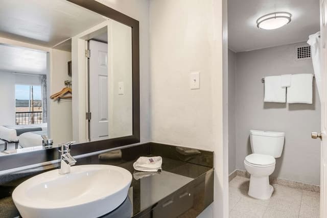 Standard Room, 1 King Bed, Mobility Accessible, Non Smoking