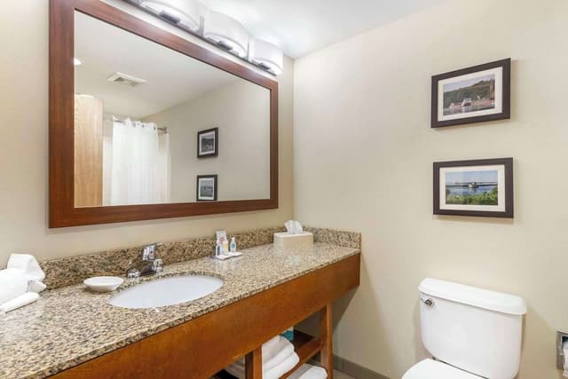 Suite, 1 King Bed, Non Smoking