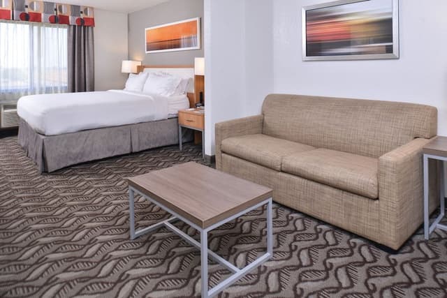 Suite, 1 King Bed with Sofa bed (Additional Living Area)