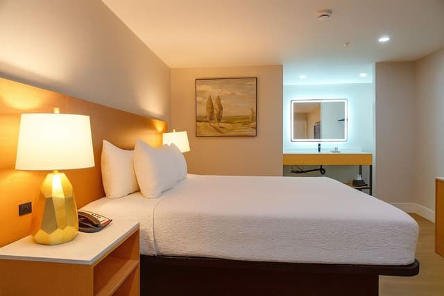 Room, 1 King Bed