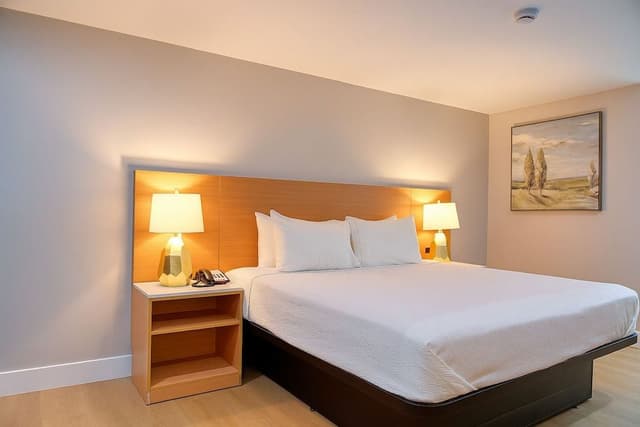 Room, 1 King Bed