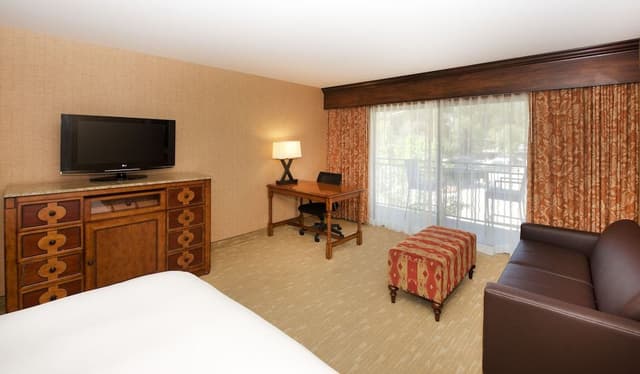 Room, 1 King Bed with Sofa bed, Balcony, Lakeside