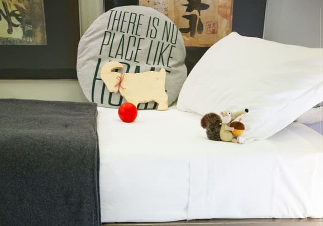 Premium Room, 1 King Bed with Sofa bed