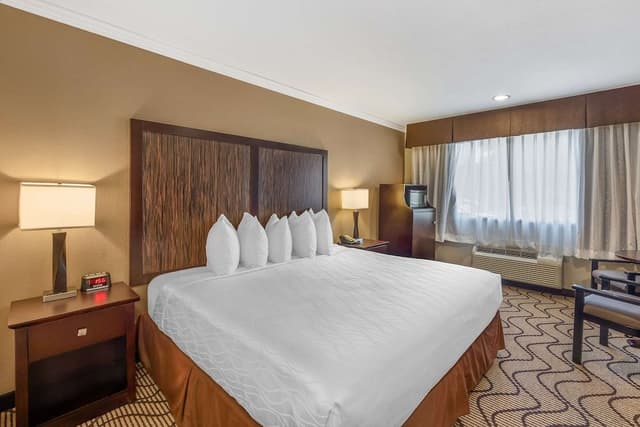 Standard Room, 1 King Bed, Accessible, Refrigerator & Microwave