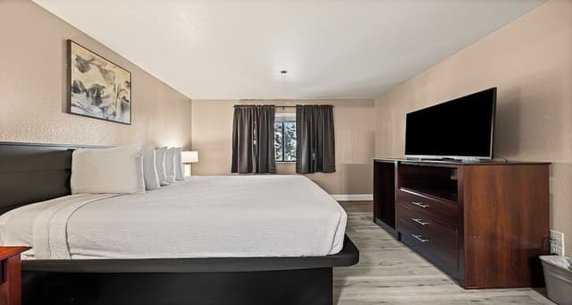 Standard Apartment, 1 King Bed, Non Smoking, Kitchen (with Sofabed, Full Kitchen)