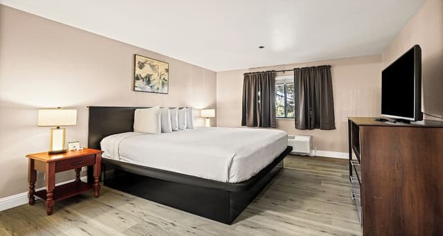 Standard Apartment, 1 King Bed, Non Smoking, Kitchen (with Sofabed, Full Kitchen)