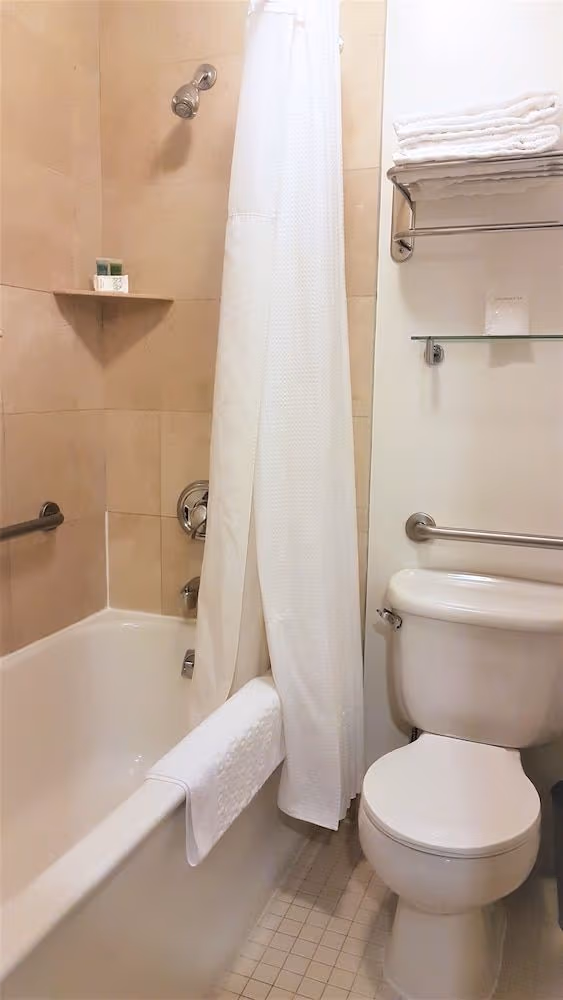 Deluxe Room, 1 Double Bed
