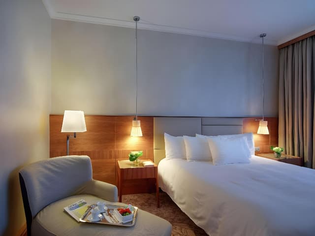 King Hilton Guest Room