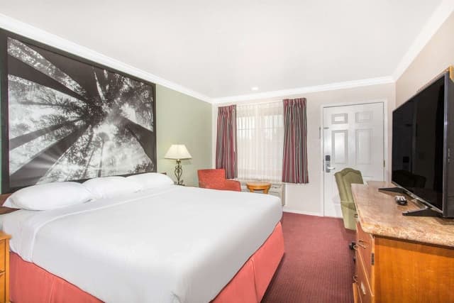 Standard Single Room, 1 Queen Bed