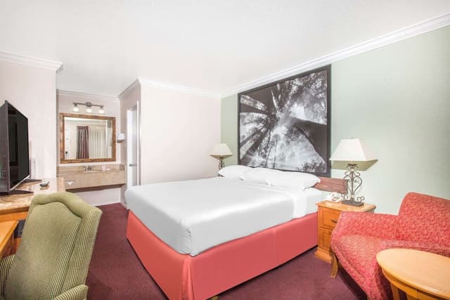 Standard Single Room, 1 Queen Bed