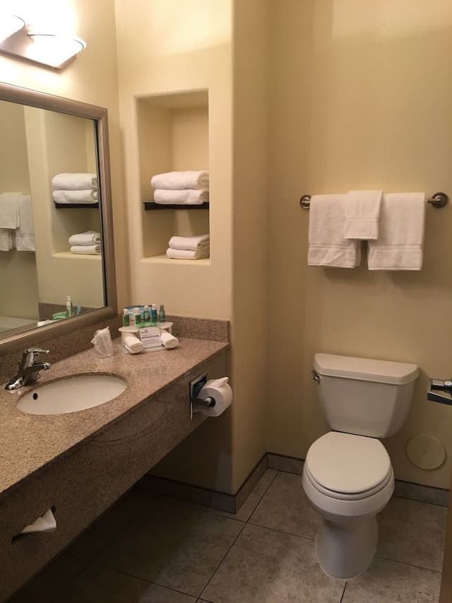 Suite, 1 King Bed