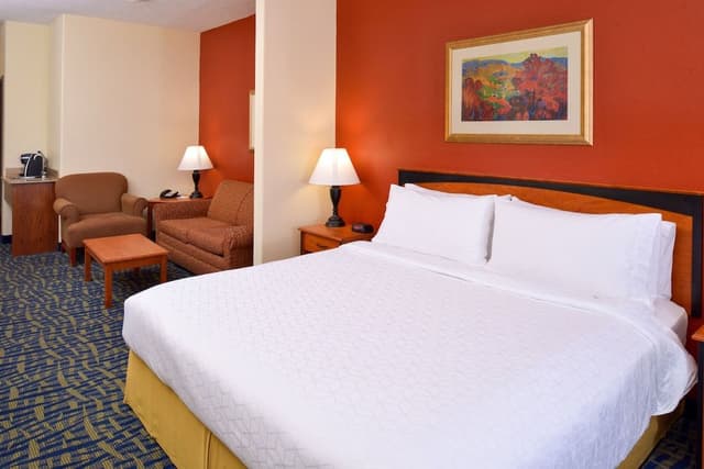 Suite, 1 King Bed