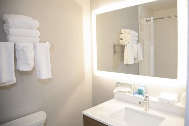 Suite, Multiple Beds