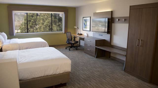 Suite, Multiple Beds