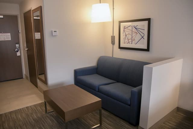 Suite, 1 King Bed with Sofa bed