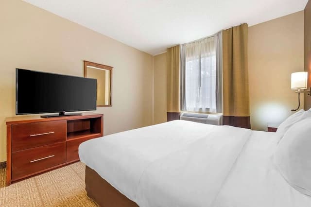 Suite, 1 King Bed with Sofa bed, Non Smoking (Pet Friendly)