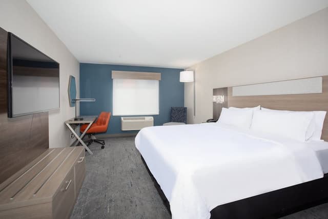 Room, 1 King Bed with Sofa bed