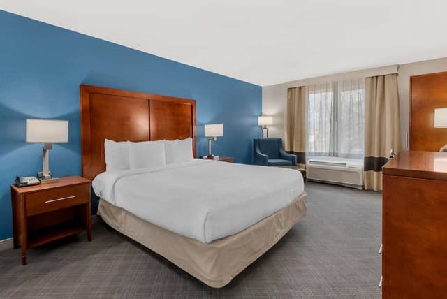 Room, 1 King Bed, Accessible, Non Smoking