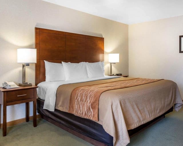 Room, 1 King Bed, Accessible, Non Smoking