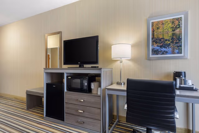 Standard Room, 1 King Bed, Accessible, Non Smoking