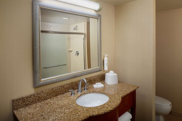 1 KING BED SHOWER ONLY NONSMOKING