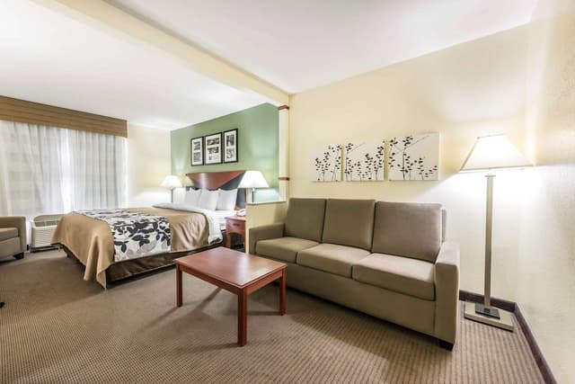 Suite, 1 King Bed with Sofa bed, Non Smoking