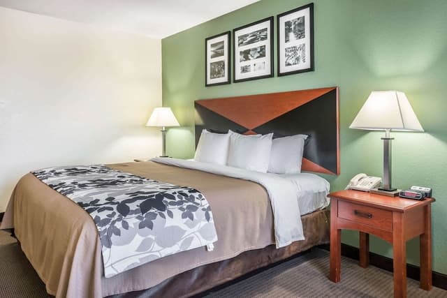 Room, 1 King Bed, Accessible, Non Smoking (Roll-In Shower)