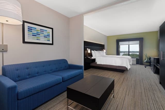 Suite, 1 King Bed