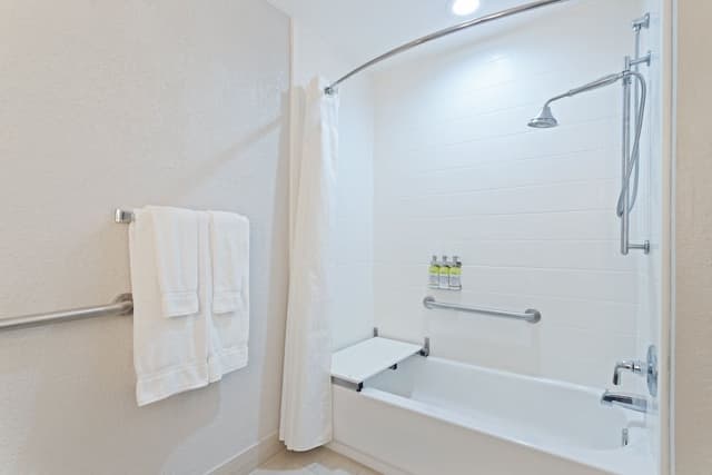 Standard Room, 1 King Bed, Accessible Bathtub