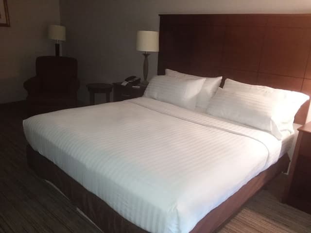 Standard Room, 1 King Bed, Accessible Bathtub