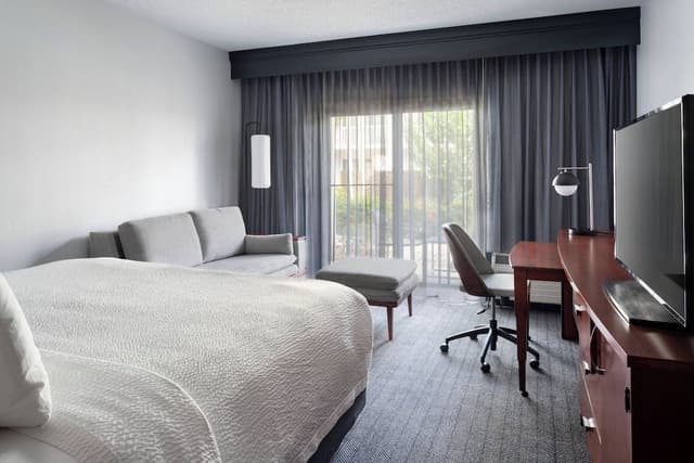 Suite, 1 King Bed with Sofa bed