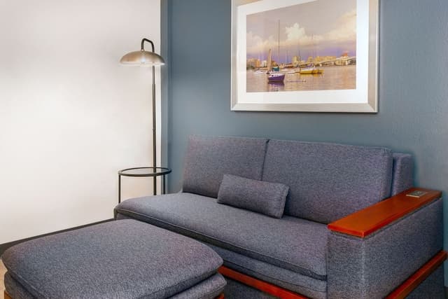 Room, 1 King Bed with Sofa bed