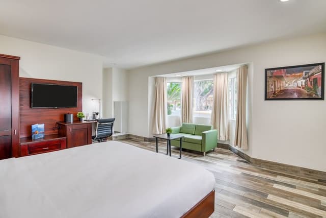 Room, 1 King Bed