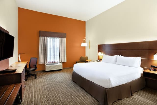 Standard Room, 1 King Bed (310 Sq Ft)